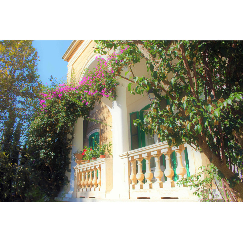 copy of Hummingbird printed t-shirt