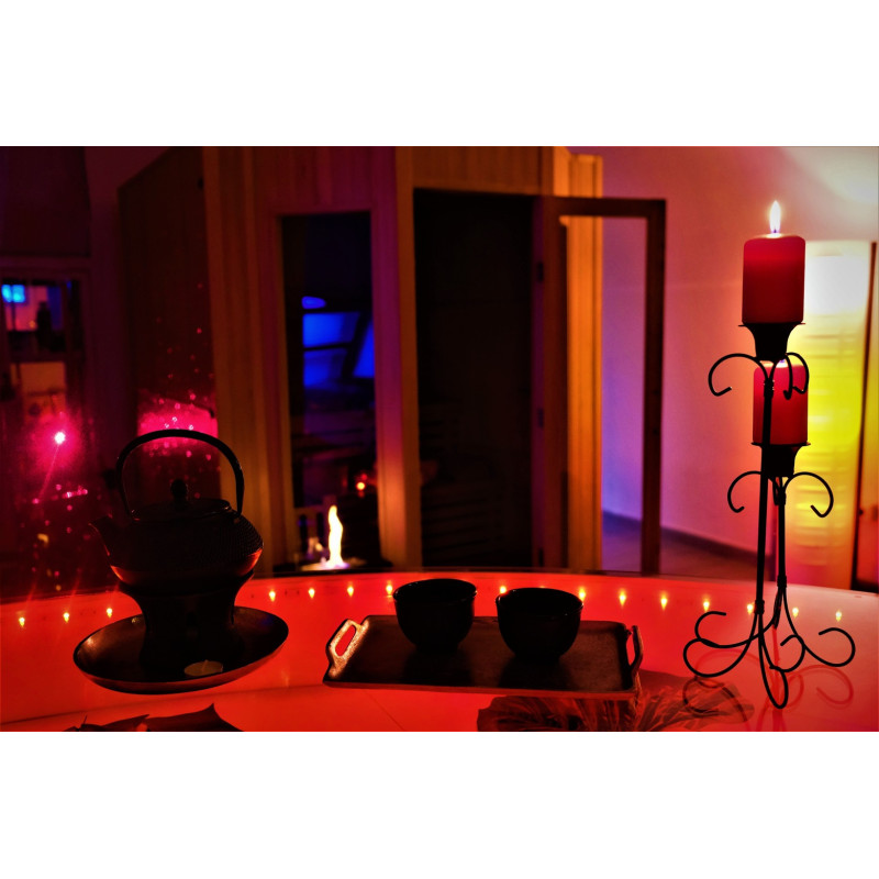 copy of Hummingbird printed sweater